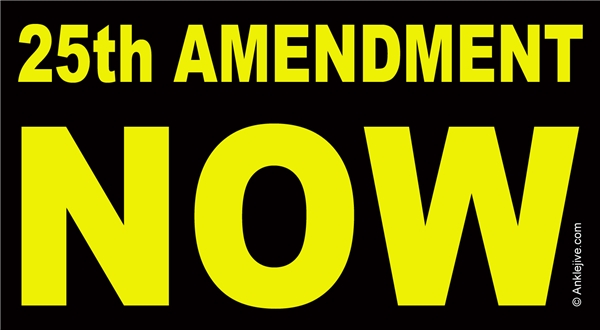 25th Amendment NOW - Anti-Trump Progressive Laptop/Window/Bumper Sticker