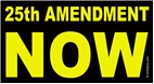 25th Amendment NOW - Anti-Trump Progressive Laptop/Window/Bumper Sticker