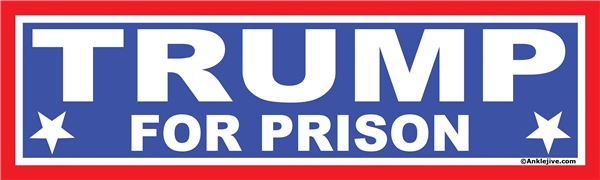 TRUMP FOR PRISON - Anti-Trump Anti-GOP Laptop/Window/Bumper Sticker