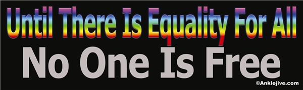 Until There Is Equality For All, No One Is Free Liberal Progressive Laptop/Window/Bumper Sticker